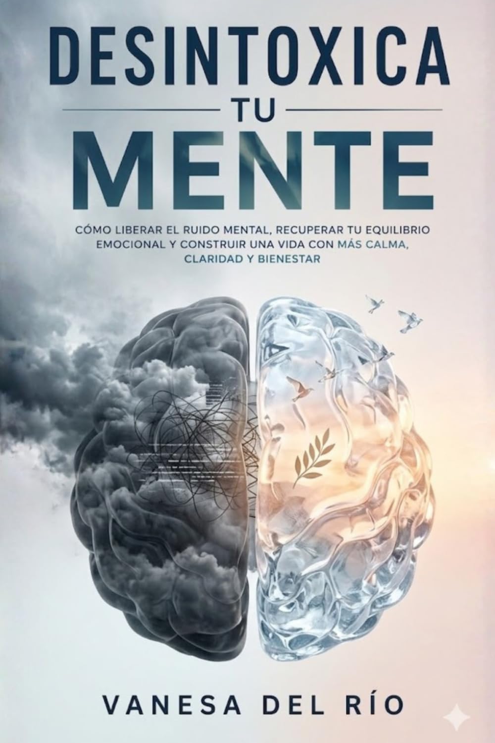 Desintoxica tu mente: Cómo liberar el ruido mental, recuperar tu equilibrio emocional y construir una vida con más calma, claridad y bienestar
