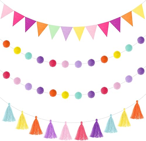 Irenare Guirnalda de pompones de fieltro de 9.8 pies, guirnalda de arco iris, banderín colorido con borlas, decoración de cumpleaños, baby shower,