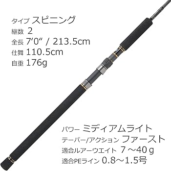 Abu Garcia OCEANFIELD ショアジギングロッド、サワラ Amazon | AbuGarcia (アブガルシア) オーシャンフィールド