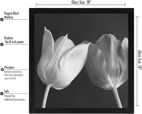 Vista 366 de Americanflat - Marco para póster de 71 x 74 cm con plexiglás pulido, portarretratos negro de madera industrializada, Epic Collection, marco ancho