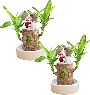 Brazilian Wood Mini Brazil Wood Brazilian Wood Hydroponic Potted Plant Stump (2, Red Proposal)