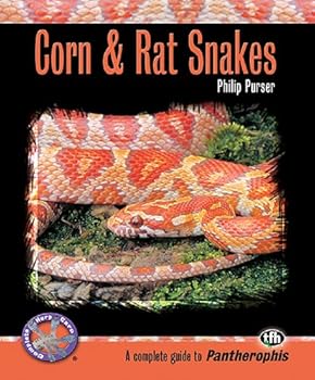 Paperback Corn & Rat Snakes (Complete Herp Care) Book