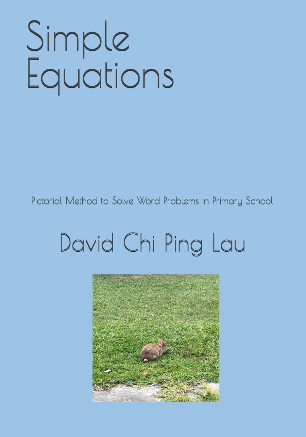 Simple Equations: Pictorial Method to Solve Word Problems in Primary School