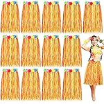 Unittype 12 pcs 24 inch hawaiian luau hula grass skirts for women girls hawaiian luau dance grass dress for halloween 7 61lfpkdjqfl. Sl500. Ss150