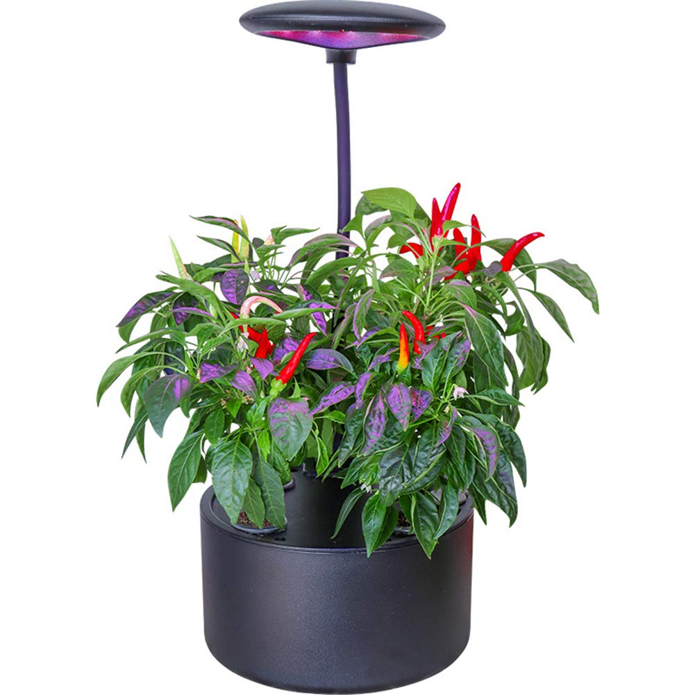 Sistema di Coltivazione idroponica, Kit di avviamento per Giardino con Erbe aromatiche da Giardinaggio a 4 baccelli con Timer Automatico, Buon Regalo per la Famiglia