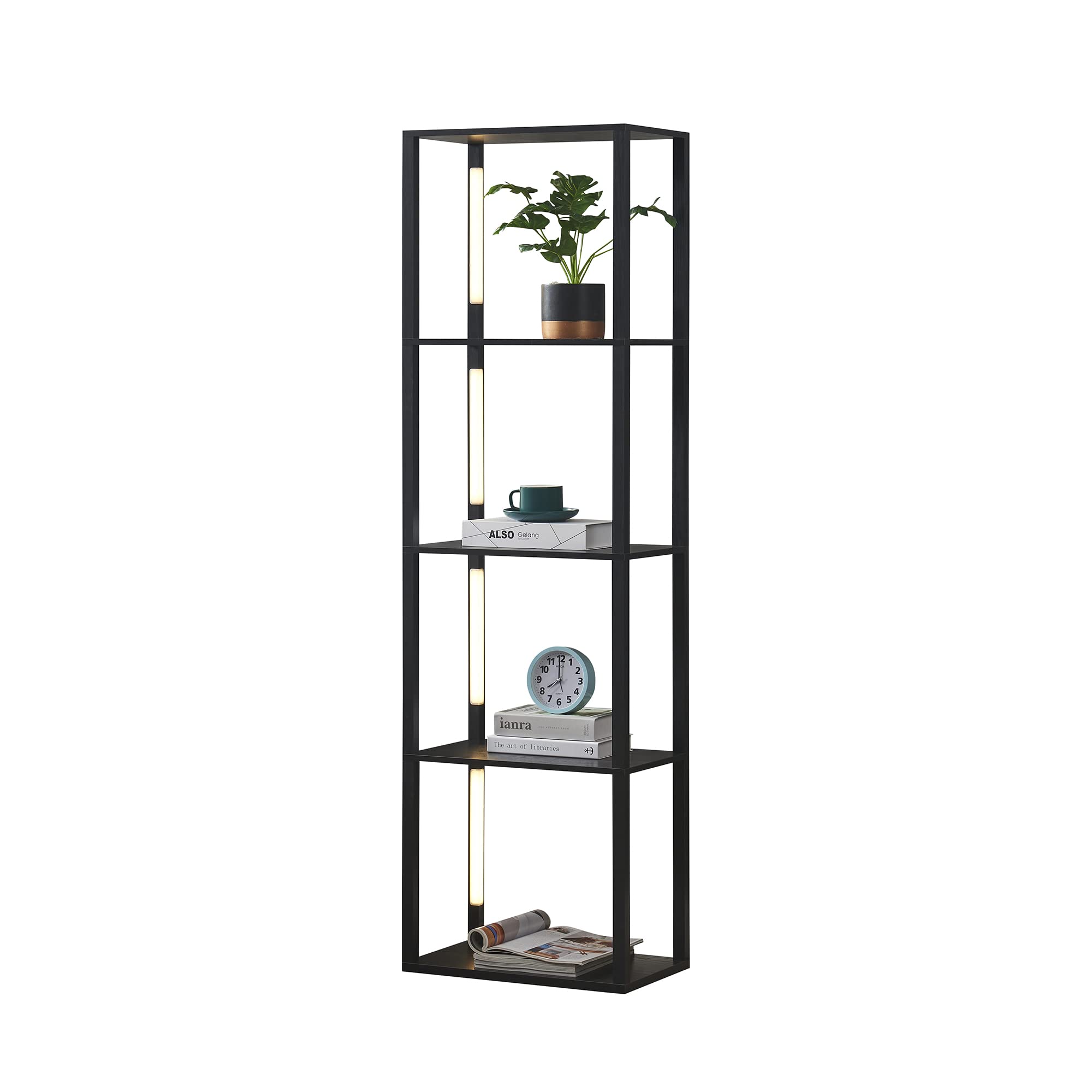 Buy FENLO Fancy Plus 64" Display Shelf with Dimmable LED Floor Lamps