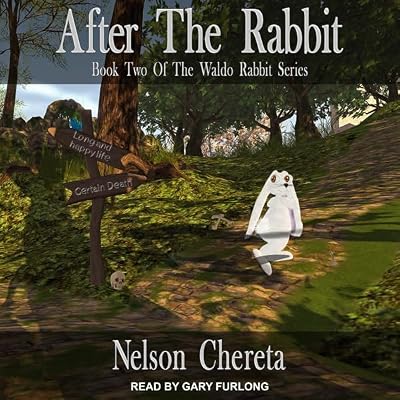 After the Rabbit