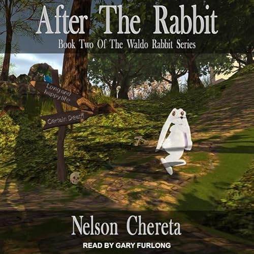 After the Rabbit cover art