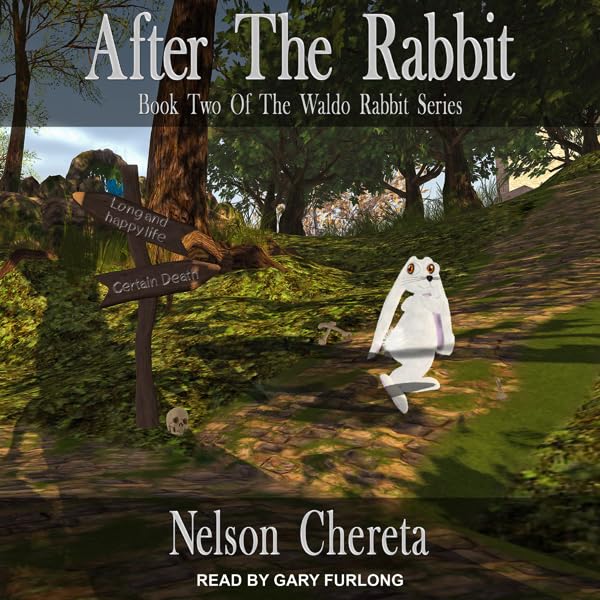 Cover art for After the Rabbit