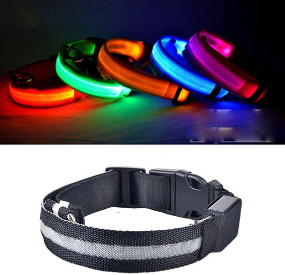 Avaner LED-Leuchthalsband Für Hunde & Katzen – USB-aufladbar, Blinkend, Verstellbar