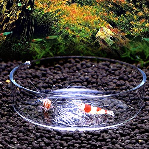 Shrimp Feeding Dish Bowl Acrylic Flower Design Aquarium Tray Water Food Smaller Reptile Worms Pets Dish Feeder Bowl - Image 8