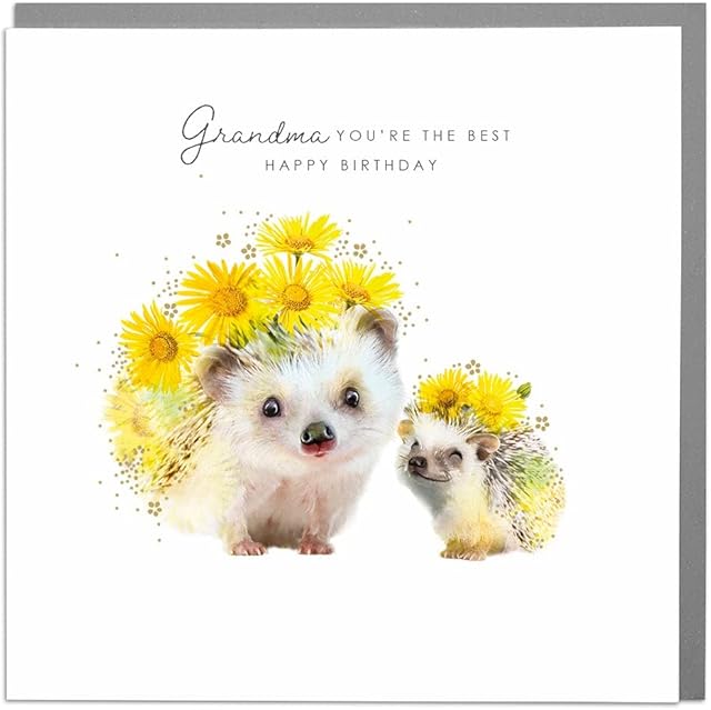 Grandma You're The Best - hedgehogs - Birthday Card with Grey Envelope by Lola Design