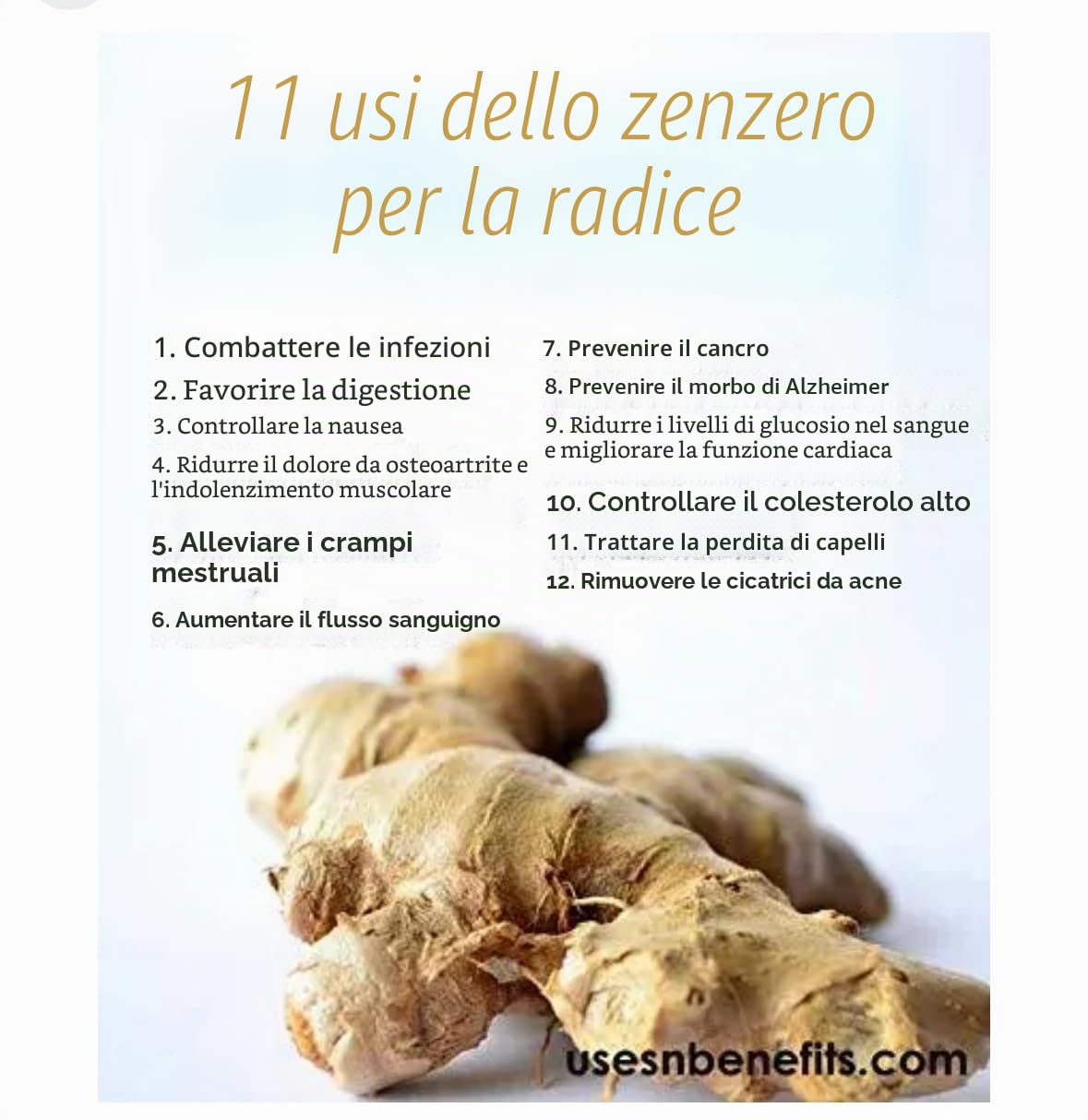 VONBEE TÈ DI CITRON E Zenzero DI MIELE 2 kg.