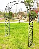【Con base, más estable】 Un arco trepador y estable no solo brindará más espacio a sus encantadoras plantas trepadoras, sino que también hará que su jardín o patio sea más hermoso con una vitalidad exuberante.