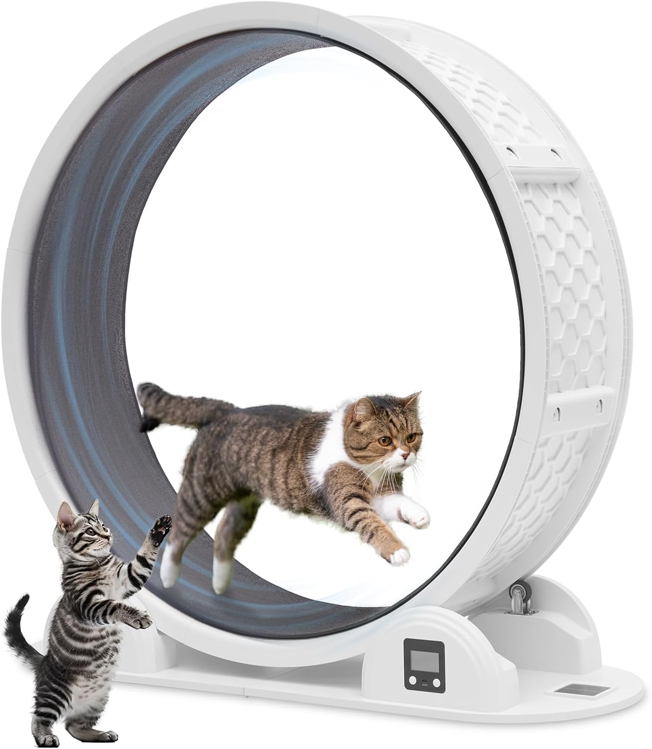 KUMMO 木製キャットホイール 猫ランニング Lサイズ 100cm KUMMO 木製キャットホイール 猫ランニング Lサイズ 100cm PETTOM 木製