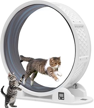 HOVONO Cat Wheel with Pedometer, Very Simple and Quick Installation, Cat Room Runner, Cat Exercise Wheel, Running Machine, Cat Running Wheel, Wheel, Low Noise, For Indoor Cats to Overcome Exercise | Cat Spinning Wheel, Low Noise, For Indoor Cats Lack of Exercise