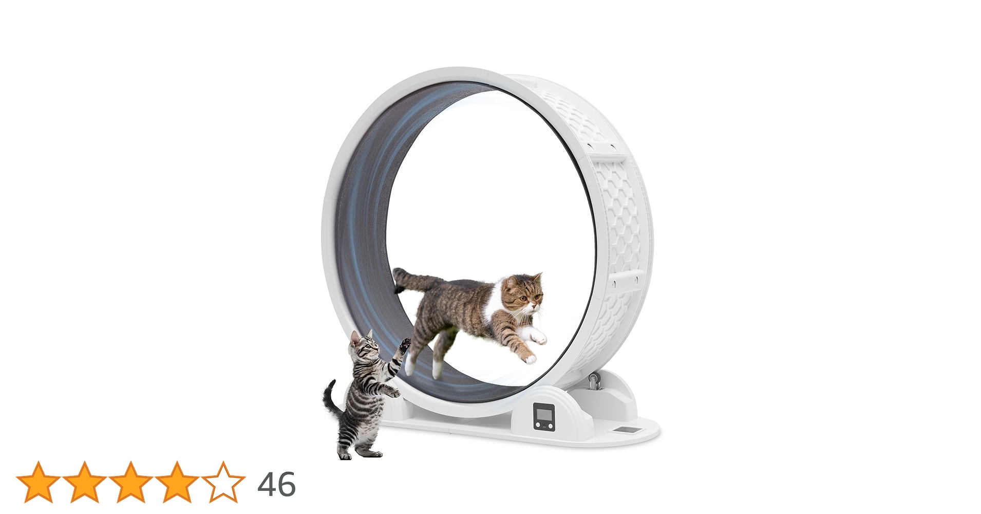 61LgCd7PfML.jpg_BO30,255,255,