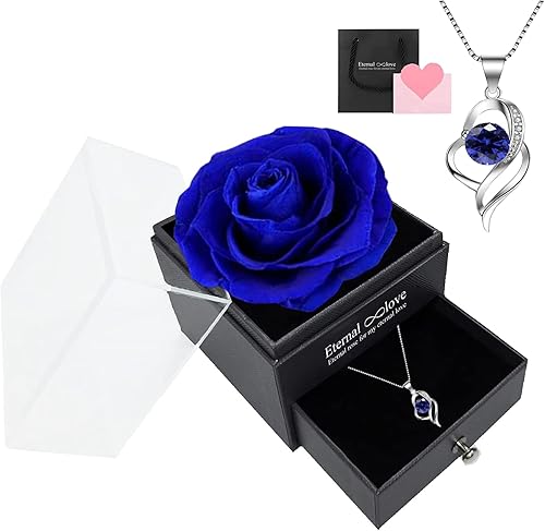 Rosa real preservada para mujer con collar, caja de rosa eterna con collar de plata de ley para esposa, novia en Navidad, día de San Valentín,