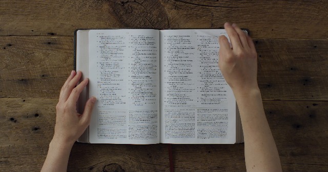 Image of ESV Men's Study Bible (TruTone, Forest /Tan, Trail Design): Holy Bible, English Standard Version