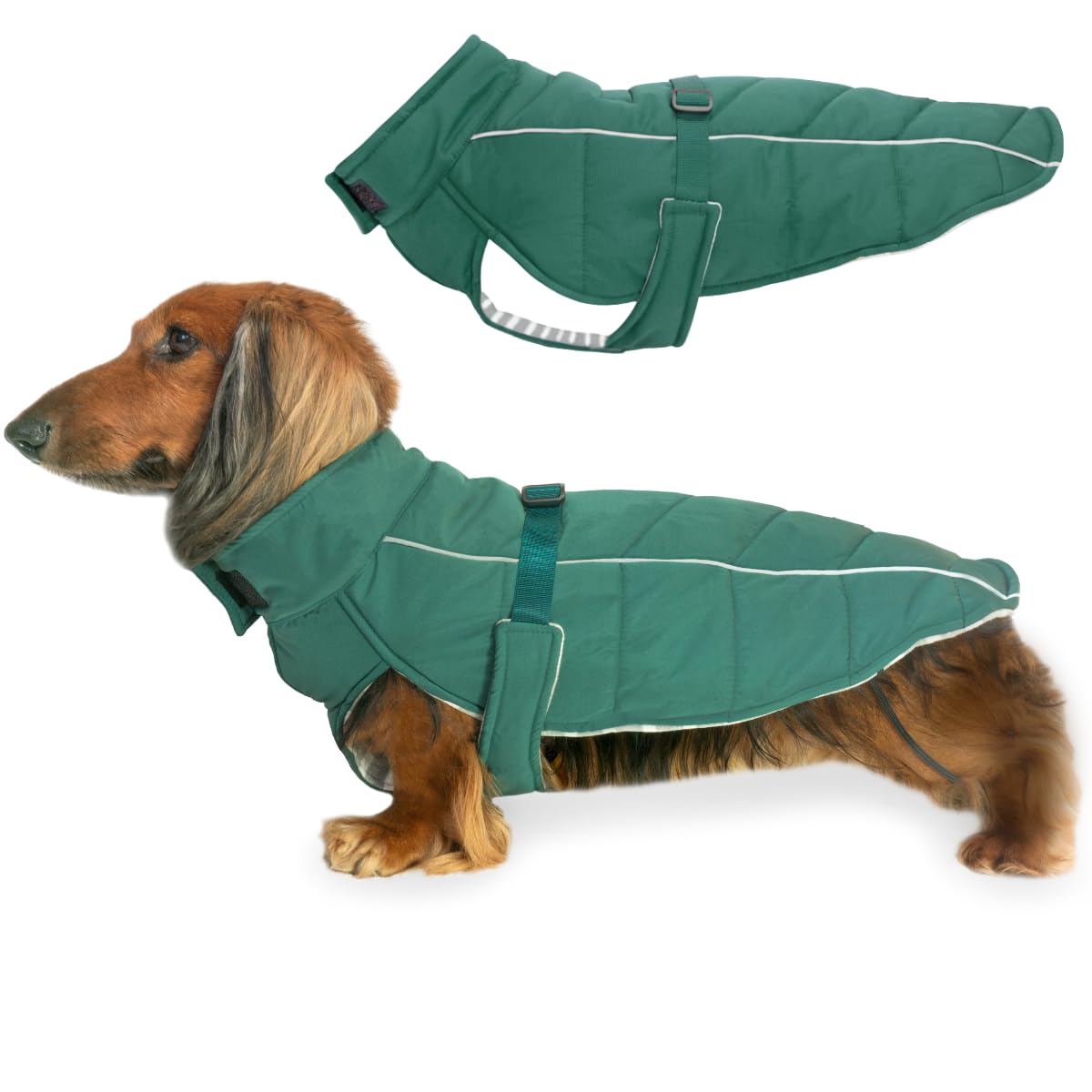 DJANGO Insulated Puffer Dog Jacket with Harness Hole – Warm, Water-Repellent Winter Dog Coat Small Dogs, Dachshunds, Puppies – Adjustable, Reflective Cold Weather Dog Apparel – Lafayette Green, Small
