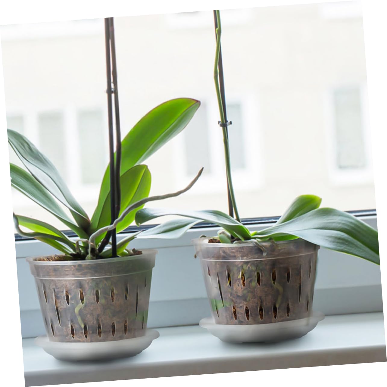 POPETPOP 15ensembles Pots à Orchidées Transparente avec Saucisses Plastique Pots Respirants à Drainage pour Plantes Orchidées Et