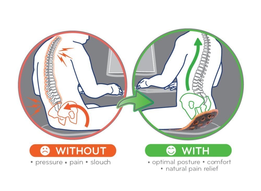 backjoy posture plus cushion