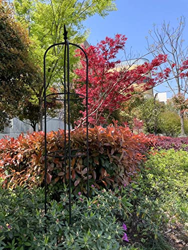 Black Rose Trellis Rose Stand Plant Rack Climbing Flower Support Rose Cage With Coating To Decorate Your Garden #TOP4