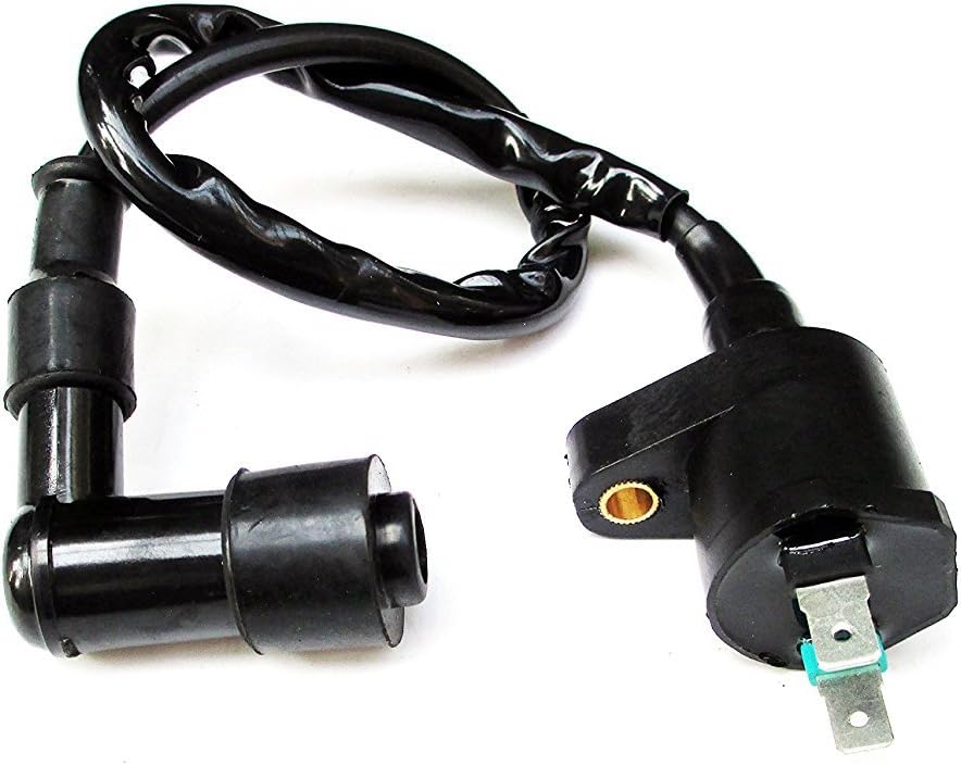 Ignition Coil For Honda Ruckus NPS50 NPS 50 Scooter NEW