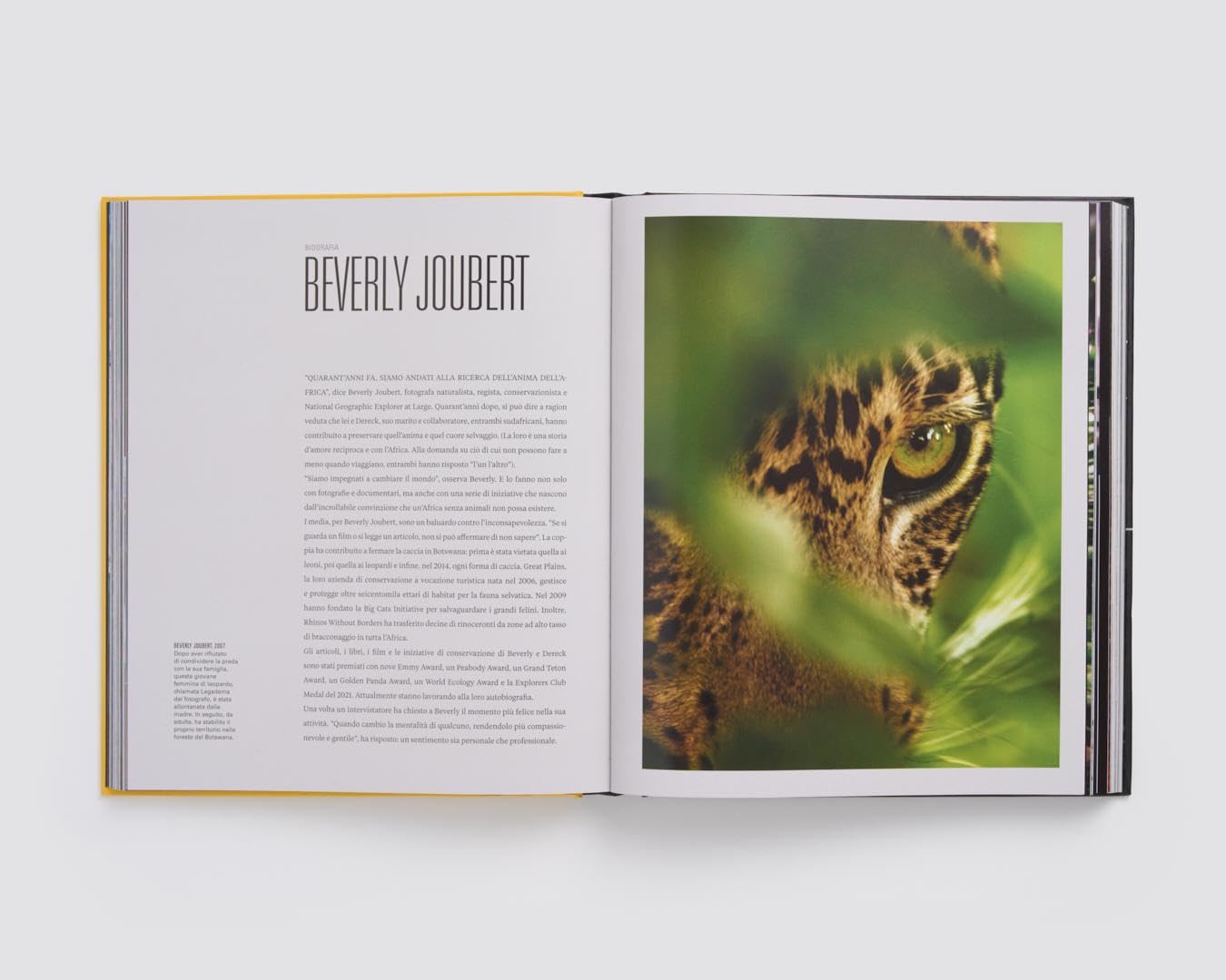 Le grandi fotografie di National Geographic. Ediz. a colori