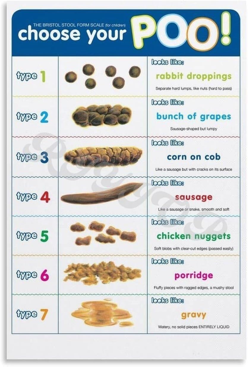 SSOPTMCB Poop Chart Poster - Bristol Stool Chart for Digestive Health & Reference(Framed,12x18inch(30x45cm))