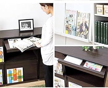 ディスプレイラック2個セット（本棚・リビング収納） 魅せて隠す収納 ディスプレイラック2個セット 本棚 リビング収納