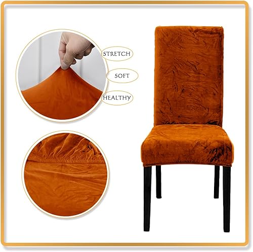 Miniatura 3 de Juego de 4 fundas naranjas para sillas de comedor, de terciopelo suave y grueso, elásticas para sillas Parsons, decoración del hogar, granja,