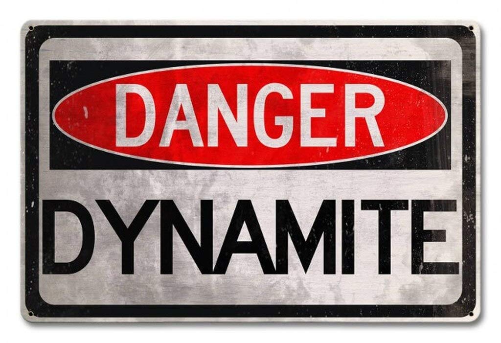 Amazon.com: Losea Danger Dynamite Metal Tin Sign Wall Art Decor
