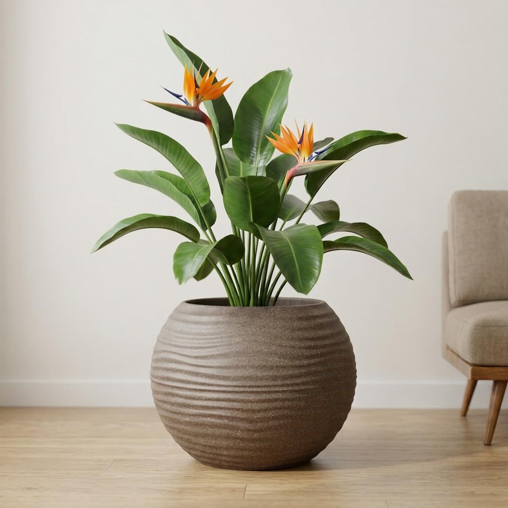 YUCCABE Fox Planter - Grey Wave Pot with Plate -12