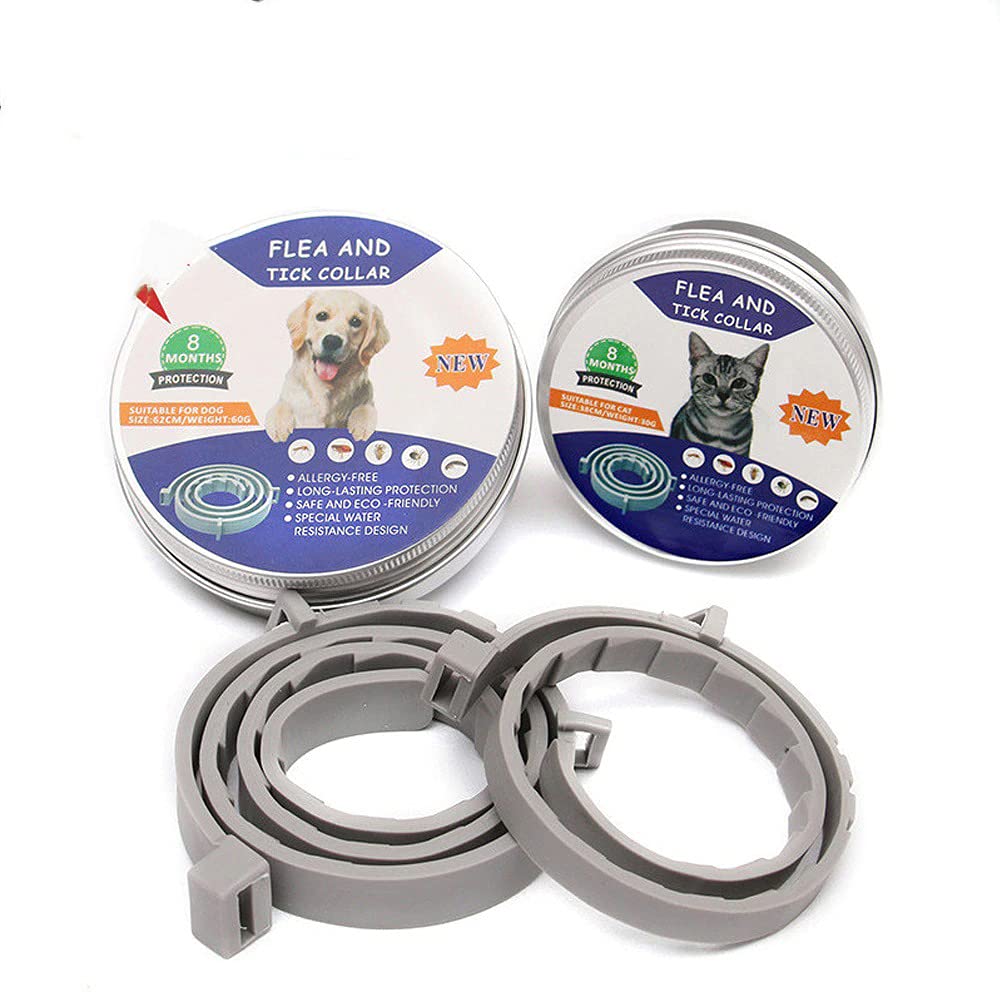 Collier anti-puces chat et chien pour des balades sereines en pleine nature