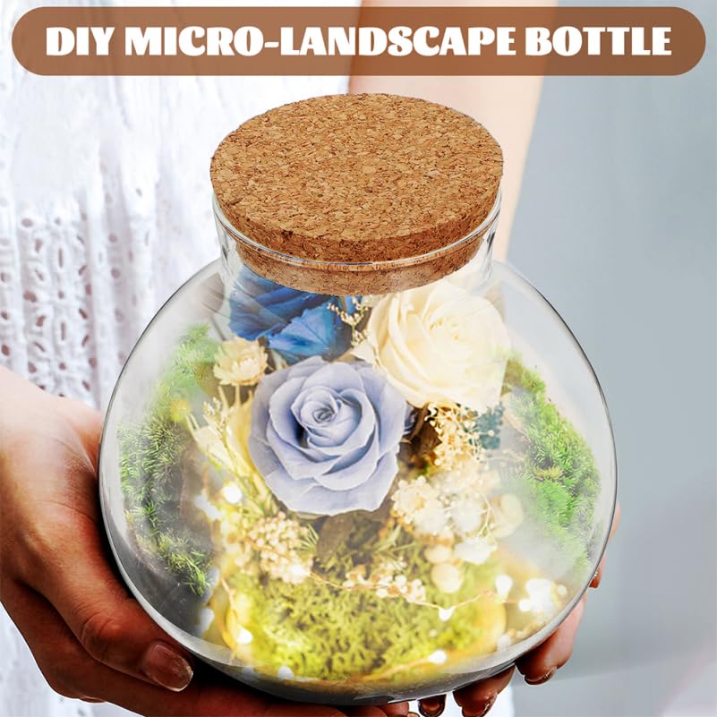 Operitacx Botella De Vidrio Transparente 5.90 Pulgadas Tarro De Cristal Para Terrario Boca Ancha Con Tapa De Corcho Para Decoración De Jardín Y Oficina Microlandscape