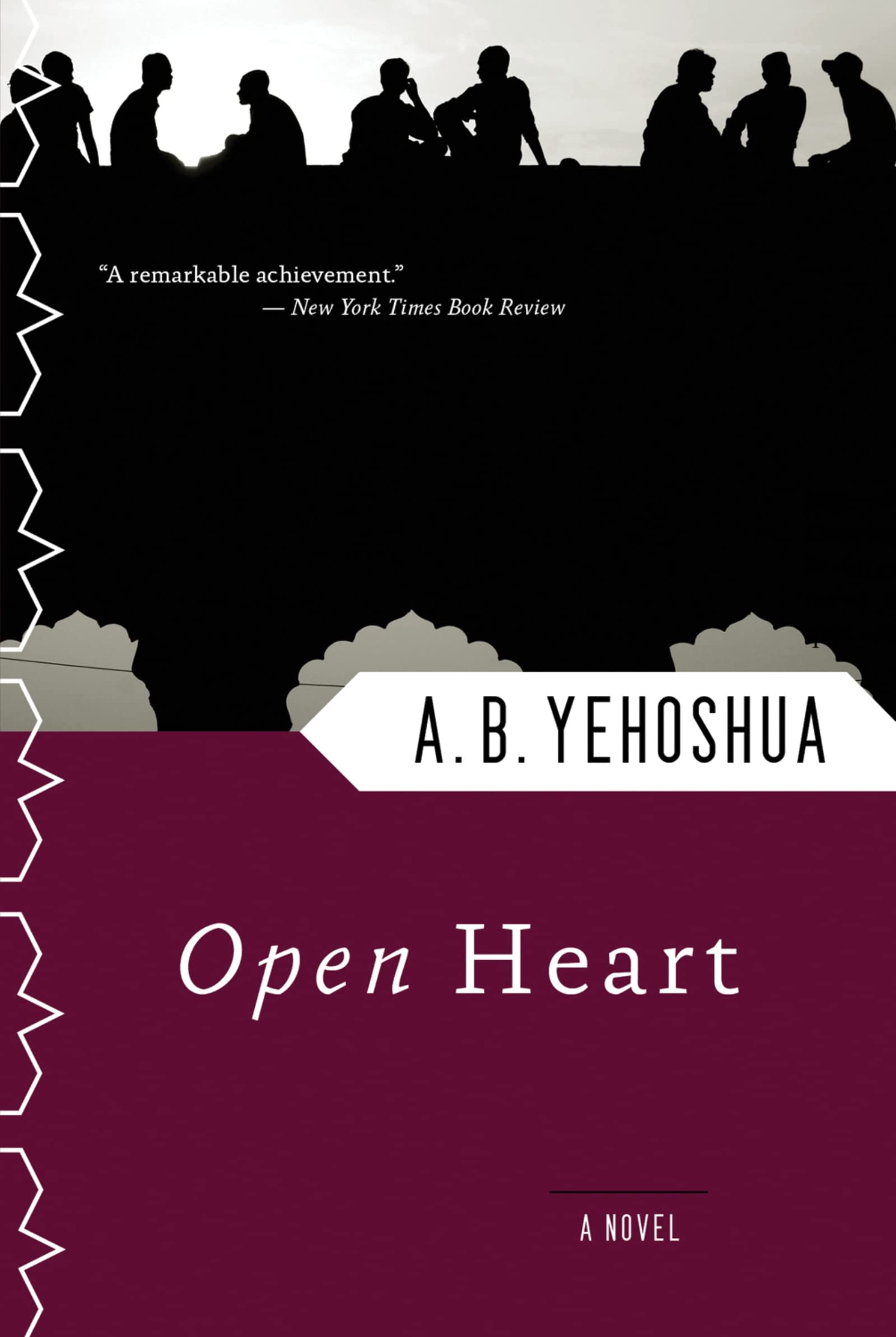 Amazon.com: Open Heart: Acclaimed Israeli Literature – A Doctor's