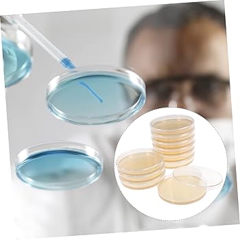 Agar Powder Hemobllo Agar Plates, Nutrient Agar Plate, Flat Sheet Glass Petri Dishes With Lids, Scientific Glassware Agar Jelly Petri Dish Agar Plates, Prepoured Agar Plates Prepoured Petri Plates Cell Tool 10pcs