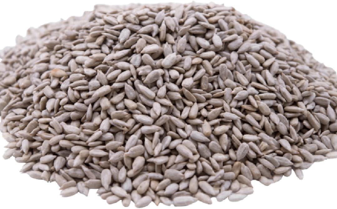 Gerbs Roasted & Lightly Salted Sunflower Kernels 2 lb.