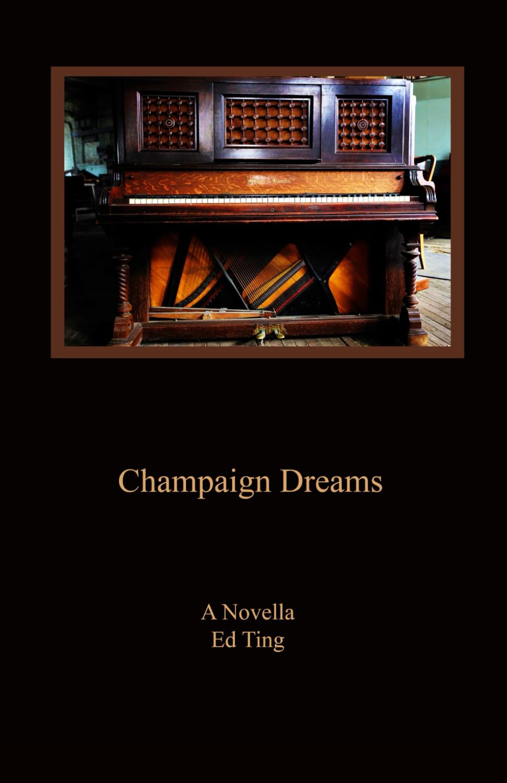 Champaign Dreams: A Novella