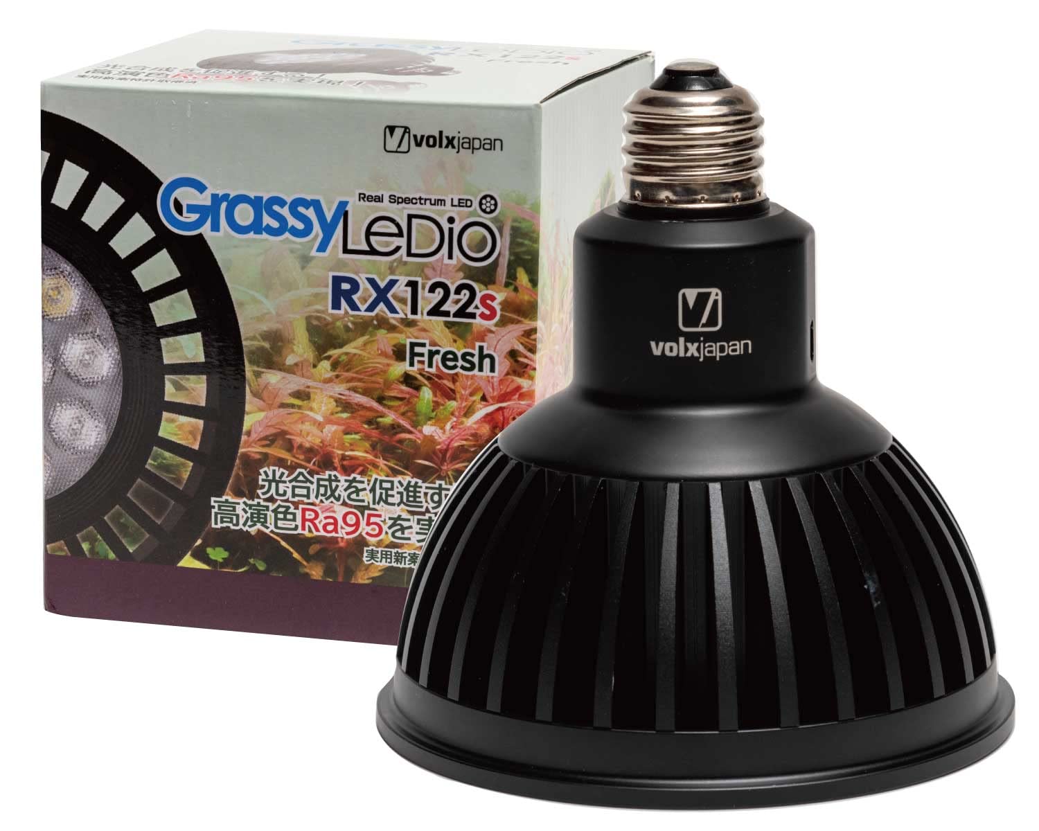 Amazon | ボルクスジャパン グラッシーレディオ RX122s フレッシュ 黒  