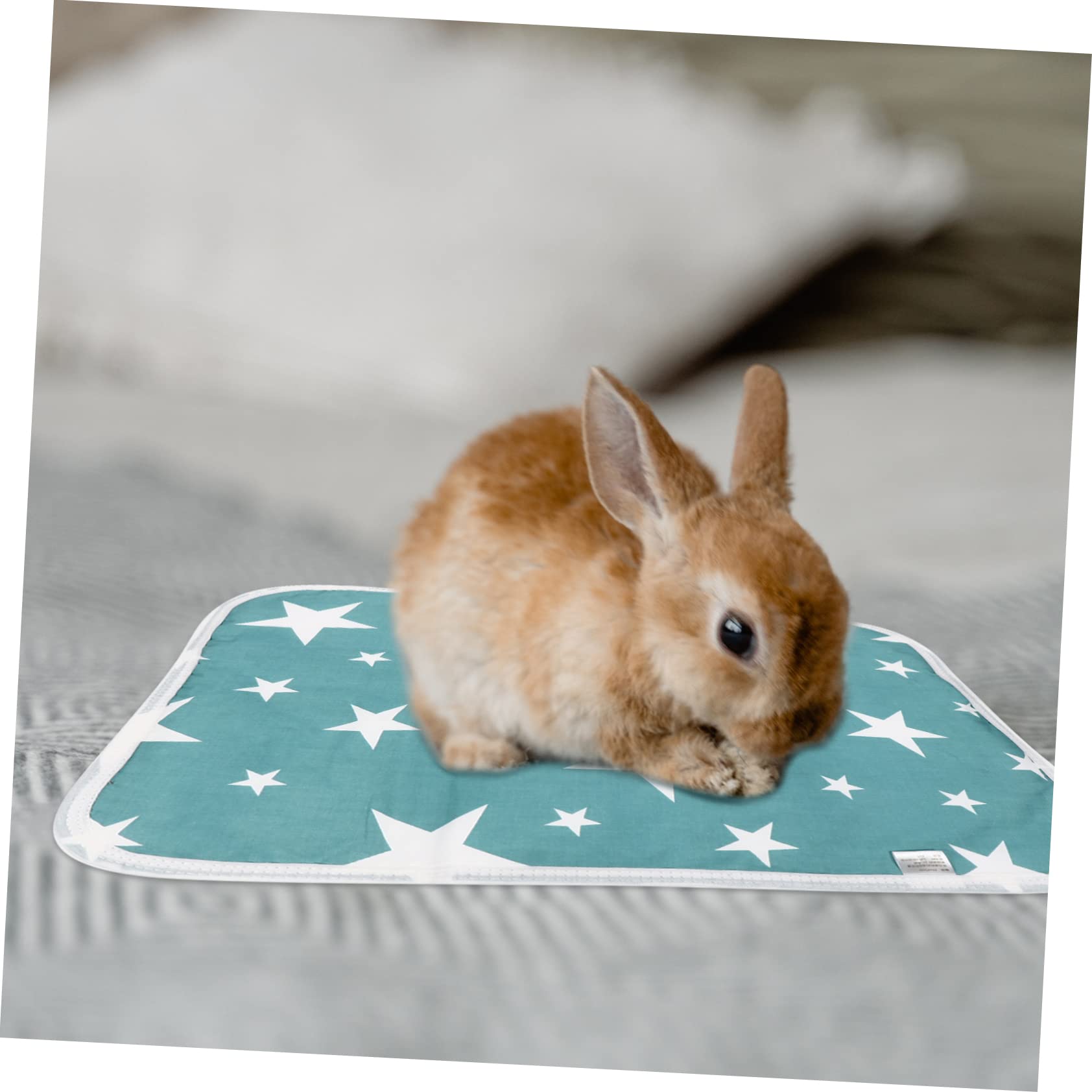 SUPVOX 6pezzi Tappetini Lavabili per Accessori per Gabbiette Animali Comodi Tappetini per Addestramento Assorbenti e Riutilizzabili per Criceti e Conigli