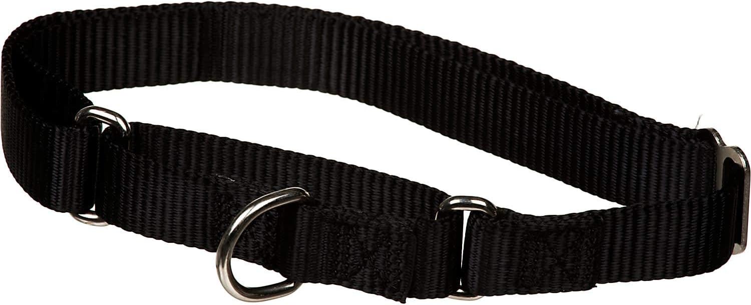 X-tra Control Collar Black Large 19"-30" 1" Width