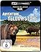 Produktbild Adventure Yellowstone (4K Ultra HD) [Blu-ray]