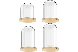 La Cupula: The Epitome of Glass Display Cloches