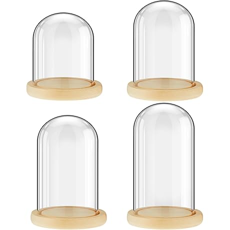 La Cupula: The Epitome of Glass Display Cloches