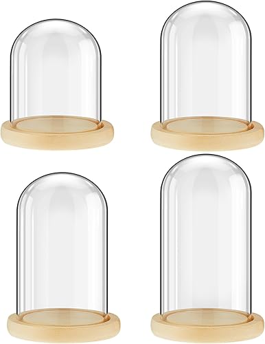 4 piezas de cúpula de vidrio transparente con base de madera y juego de luces LED cúpula de vidrio con base de mesa vitrina para el hogar oficina