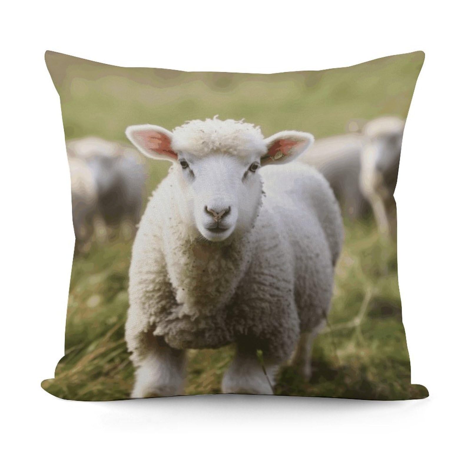 VstaDank Cute Sheep Lamb Throw Pillow Covers Fade-Resistant Plush Pillow Case Cozy Square Cushion Case Removable Pillowcase Exquisite Pillow Shams Soft Pillow Protector 18"x18"