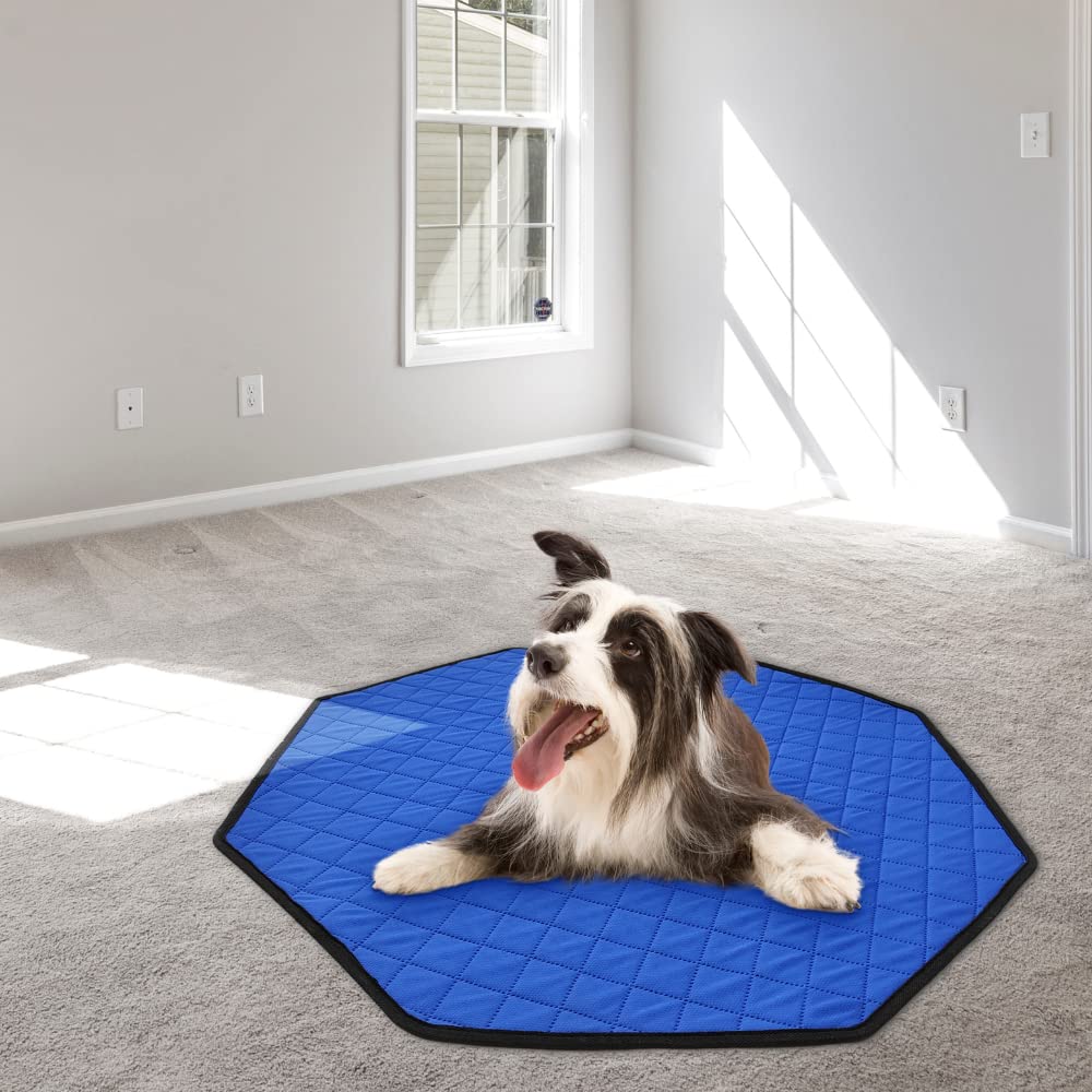 Test du panier XXL BingoPaw pour chiens et chats Test du panier XXL BingoPaw pour chiens et chats