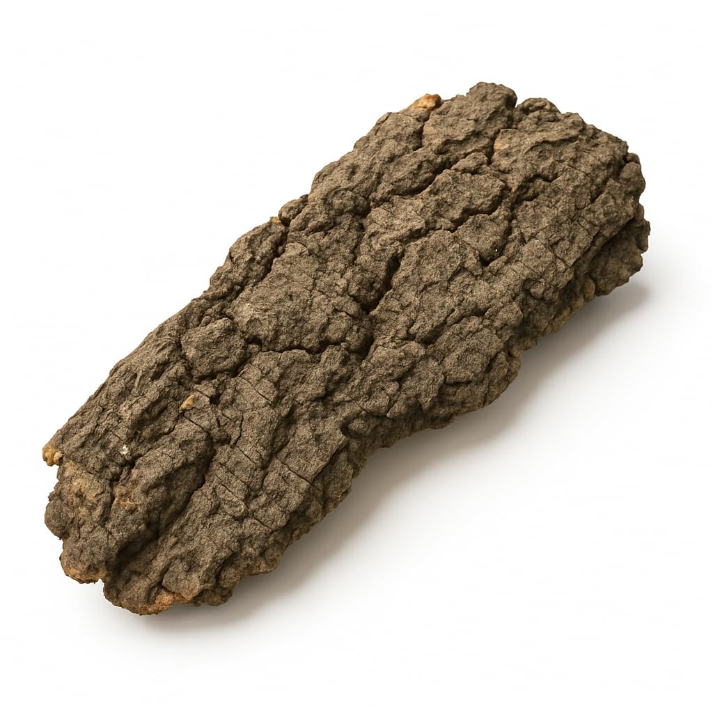 Lot de Liège, Liège CA, 50 x 20 cm, plaque de liège terrari endeko
